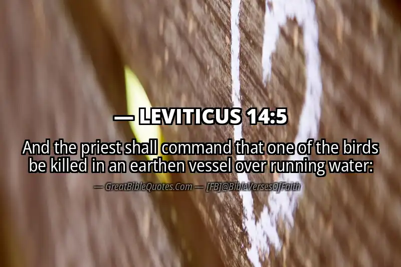 LEVITICUS 14:5 Verse