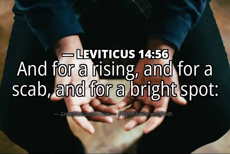 LEVITICUS 14:56 Verse
