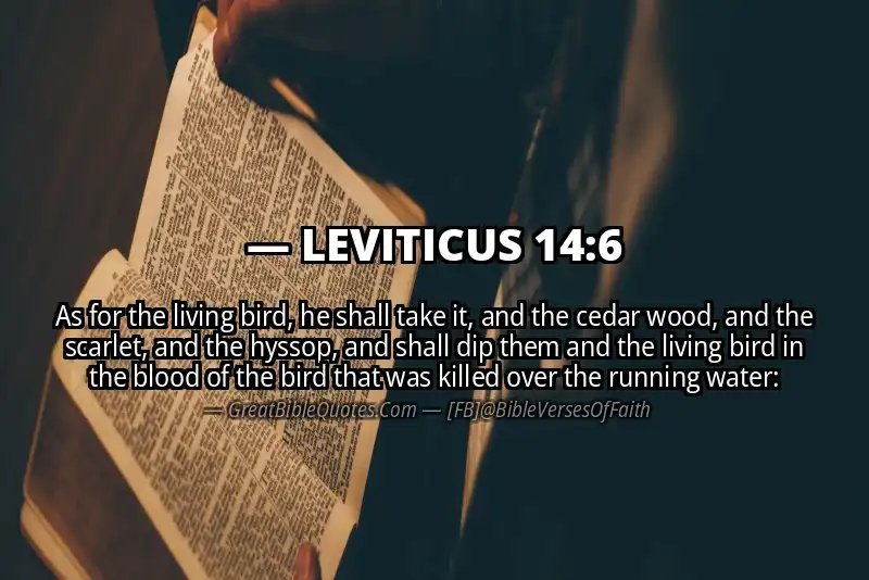 LEVITICUS 14:6 Verse