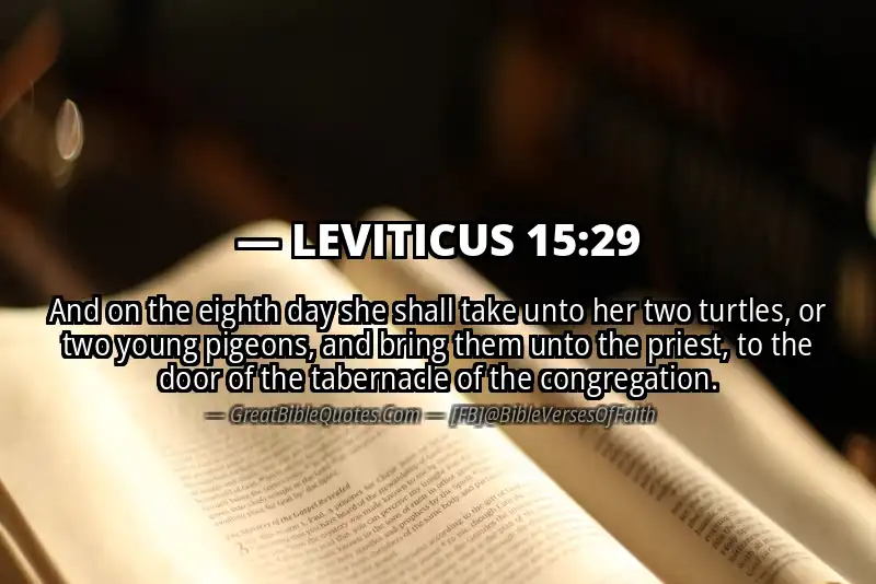LEVITICUS 15:29 Verse