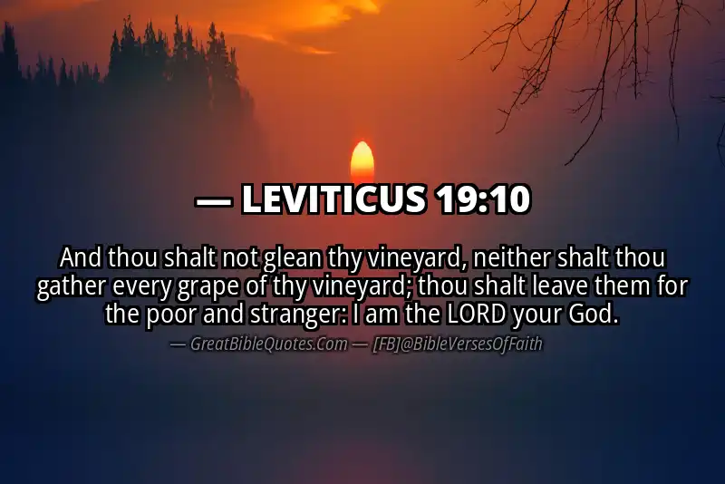 LEVITICUS 19:10 Verse