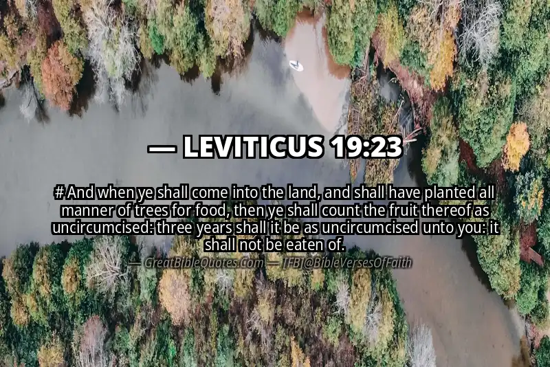 LEVITICUS 19:23 Verse