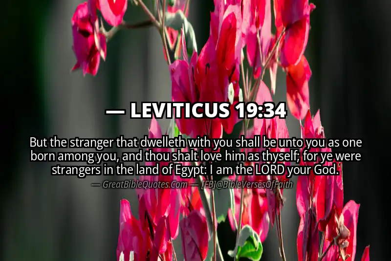 LEVITICUS 19:34 Verse