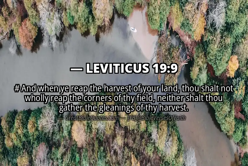 LEVITICUS 19:9 Verse