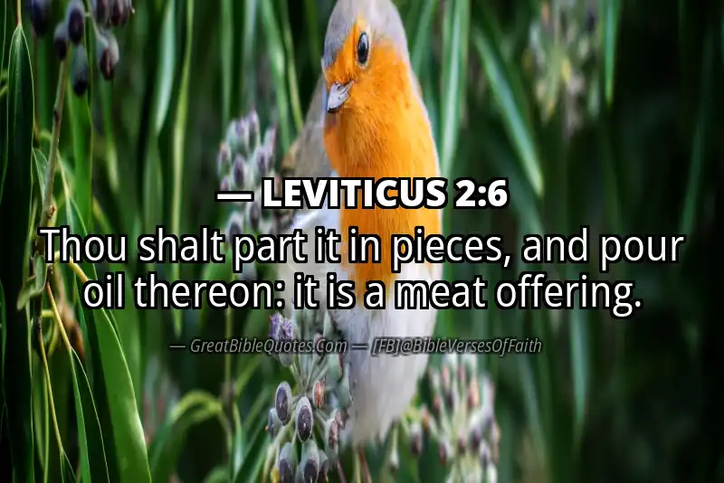 Bible verse: LEVITICUS 2:6 Image