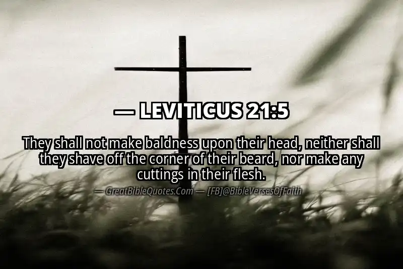 LEVITICUS 21:5 Verse