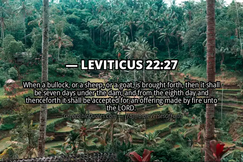 LEVITICUS 22:27 Verse
