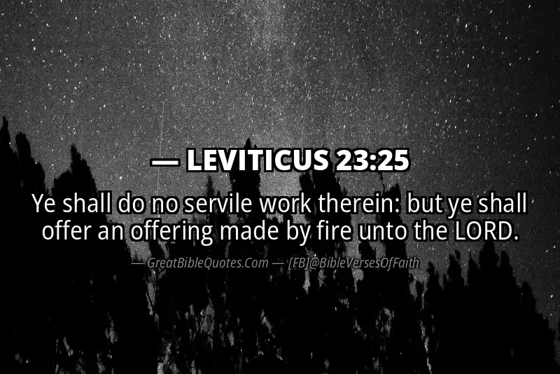 LEVITICUS 23:25 Verse