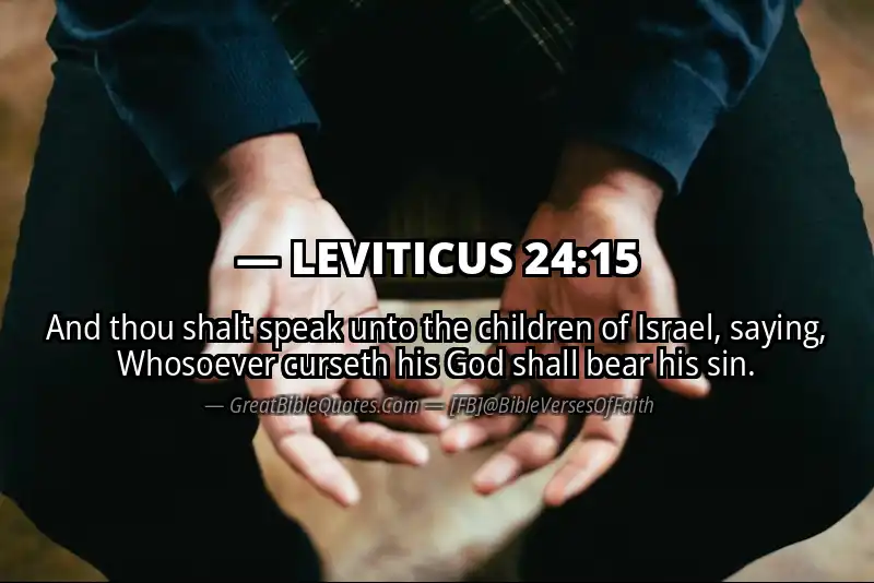 LEVITICUS 24:15 Verse