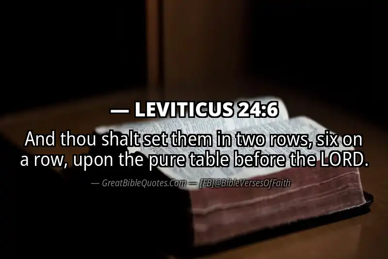 LEVITICUS 24:6 Verse
