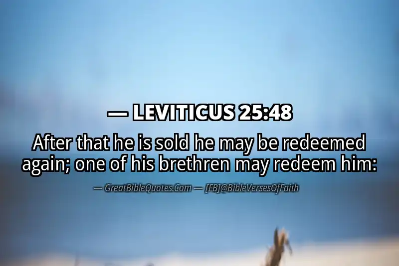 LEVITICUS 25:48 Verse