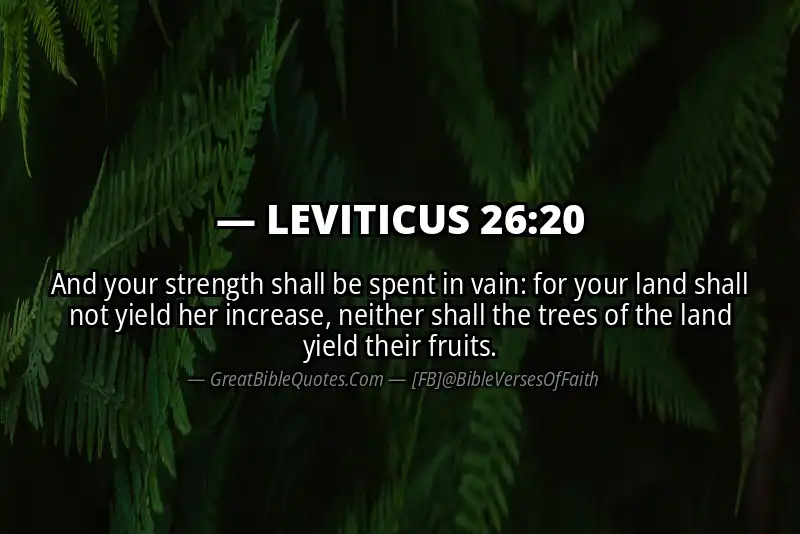 Bible verse: LEVITICUS 26:20 Image