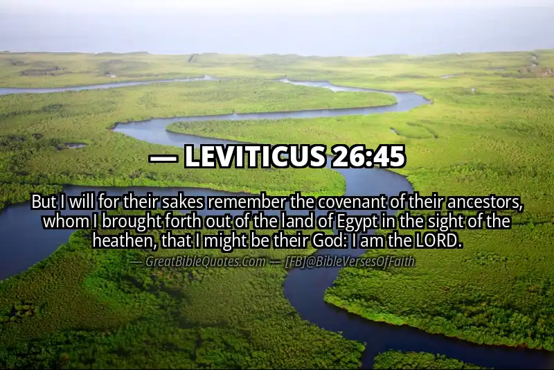 LEVITICUS 26:45 Verse Image