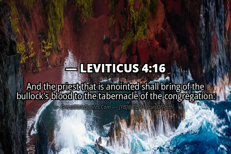 Bible verse: LEVITICUS 4:16 Image
