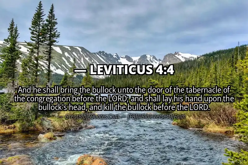 Bible verse: LEVITICUS 4:4 Image