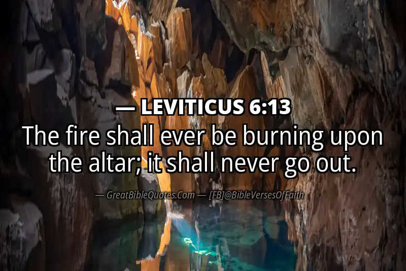 LEVITICUS 6:13 Verse