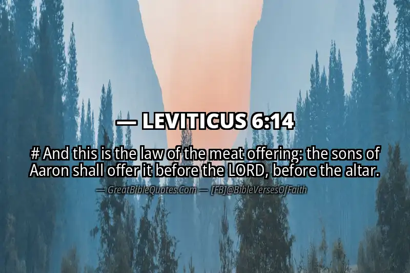 LEVITICUS 6:14 Verse