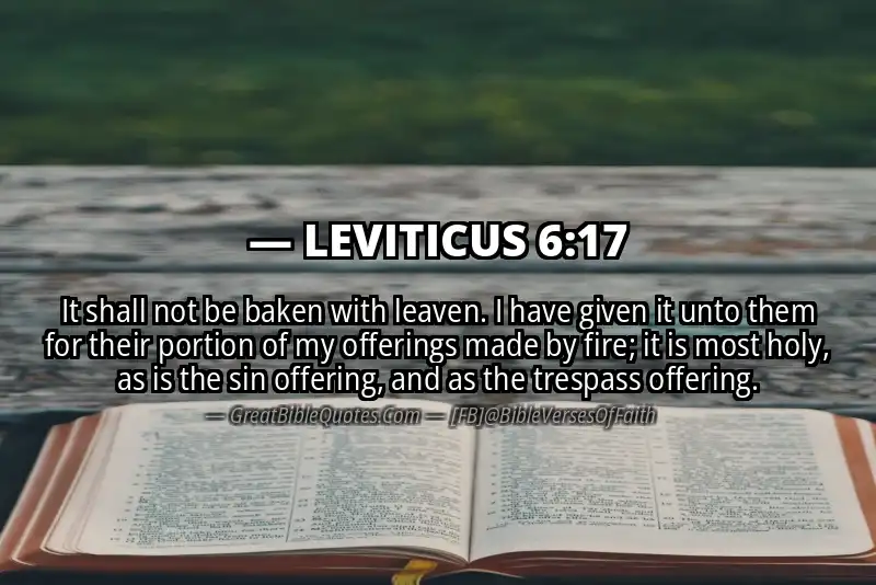 LEVITICUS 6:17 Verse