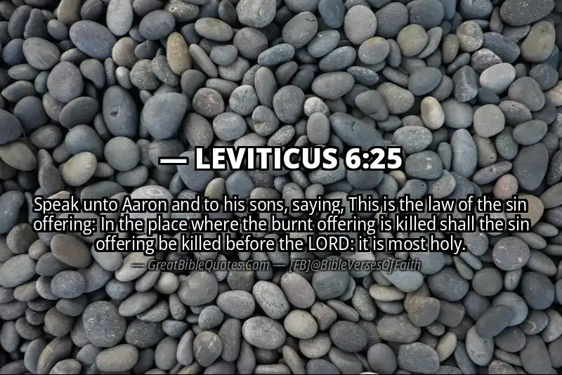 LEVITICUS 6:25 Verse