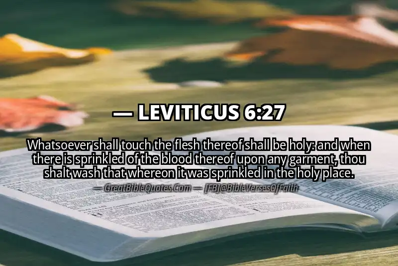 LEVITICUS 6:27 Verse