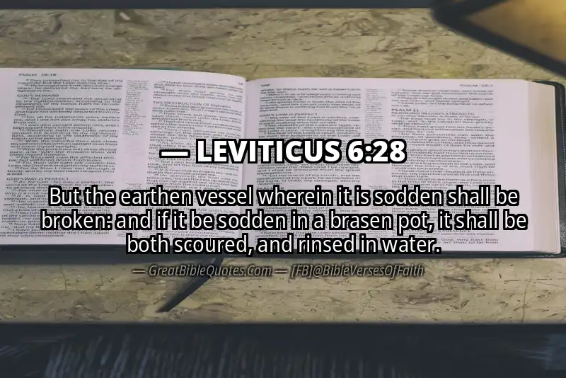 LEVITICUS 6:28 Verse
