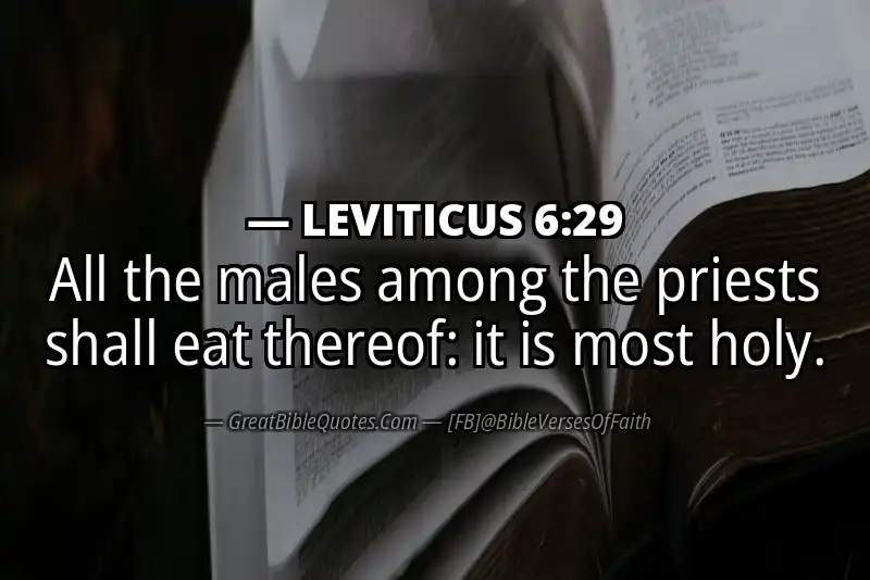 LEVITICUS 6:29 Verse