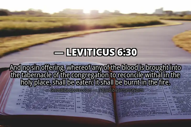 LEVITICUS 6:30 Verse