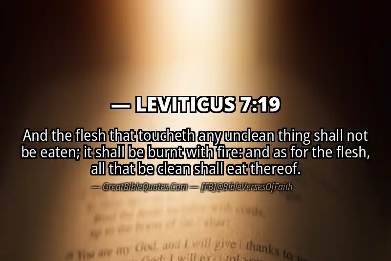 LEVITICUS 7:19 Verse