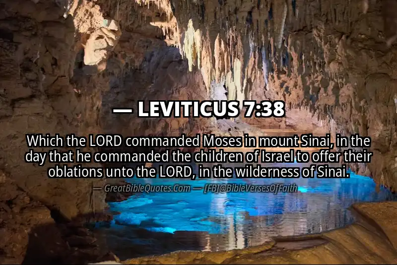 LEVITICUS 7:38 Verse