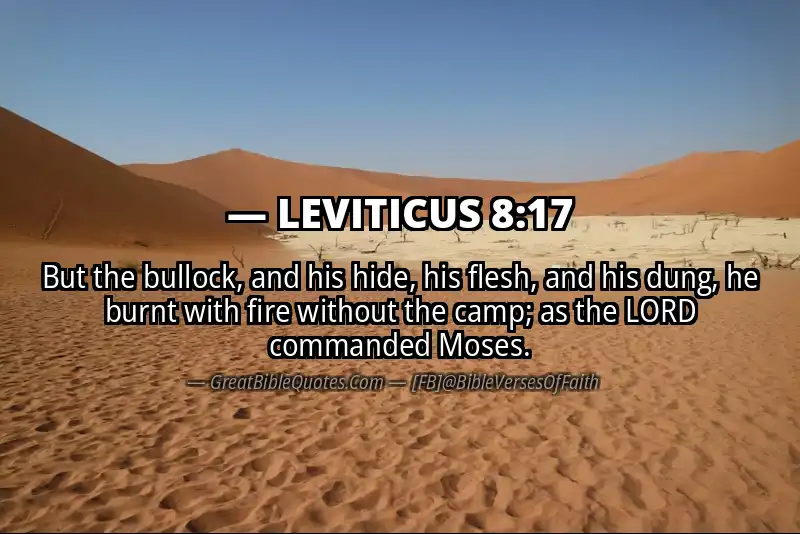 LEVITICUS 8:17 Verse