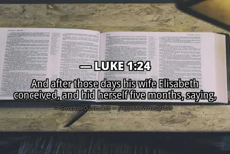 LUKE 1:24 Verse Image