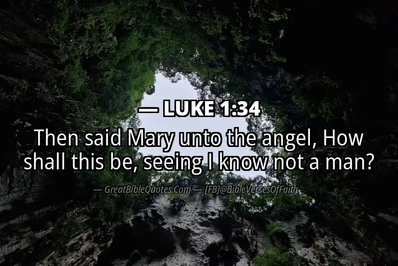 Bible verse: LUKE 1:34 Image