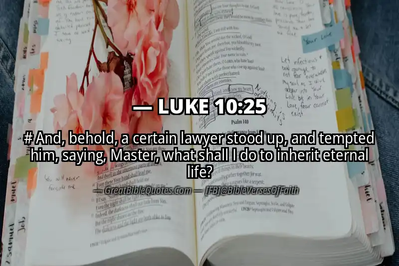 LUKE 10:25 Verse