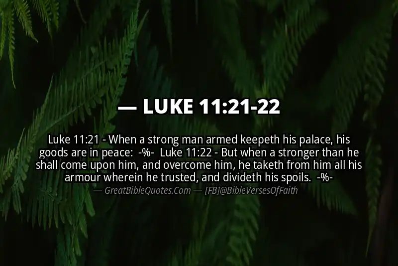 Image for LUKE 11:21-22 Bible verse
