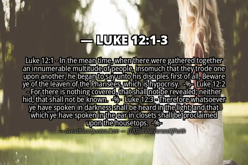 Image for LUKE 12:1-3 Bible verse