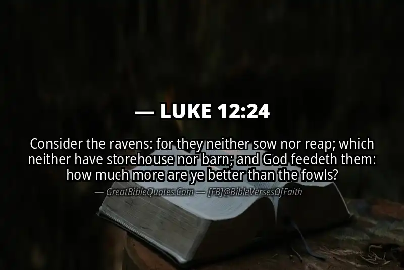 LUKE 12:24 Verse Image