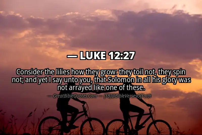 LUKE 12:27 Verse