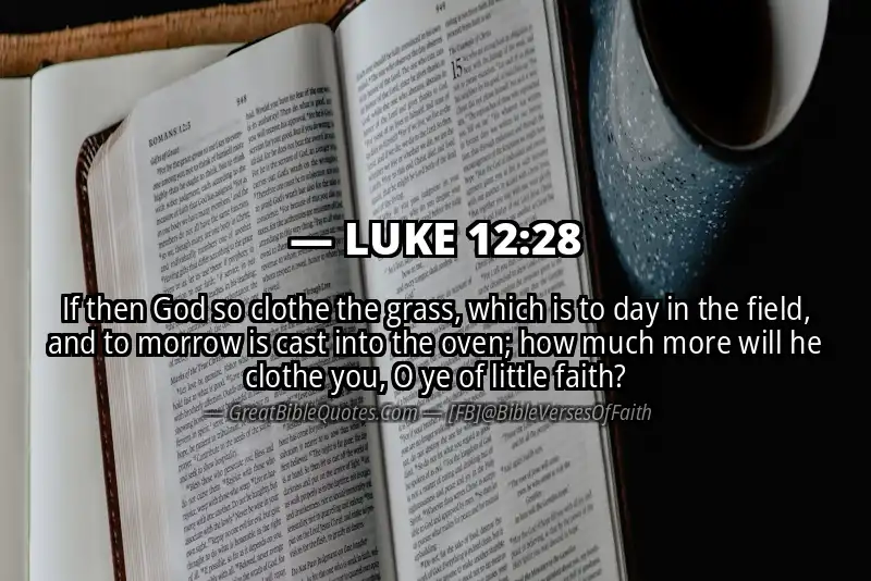 LUKE 12:28 Verse