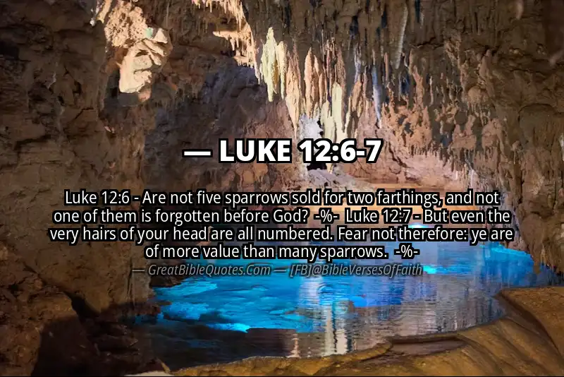 Image for LUKE 12:6-7 Bible verse