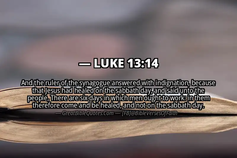 LUKE 13:14 Verse