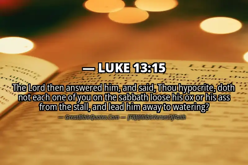 LUKE 13:15 Verse