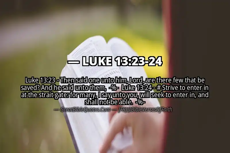 Image for LUKE 13:23-24 Bible verse