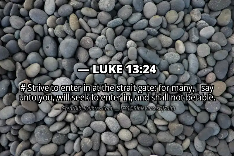 LUKE 13:24 Verse Image