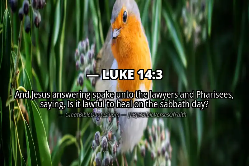LUKE 14:3 Verse Image