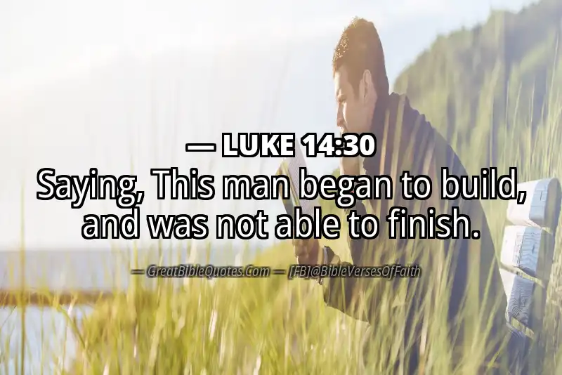 LUKE 14:30 Verse