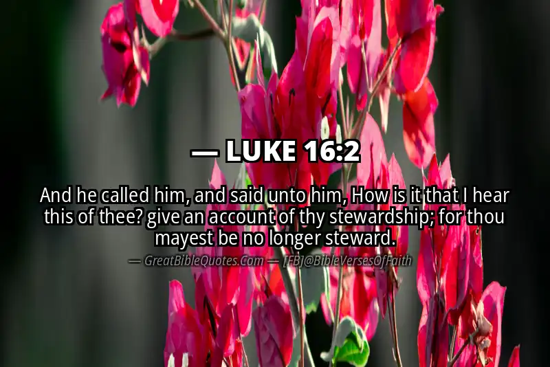 LUKE 16:2 Verse