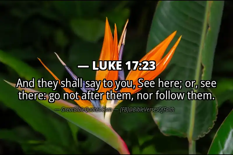 LUKE 17:23 Verse