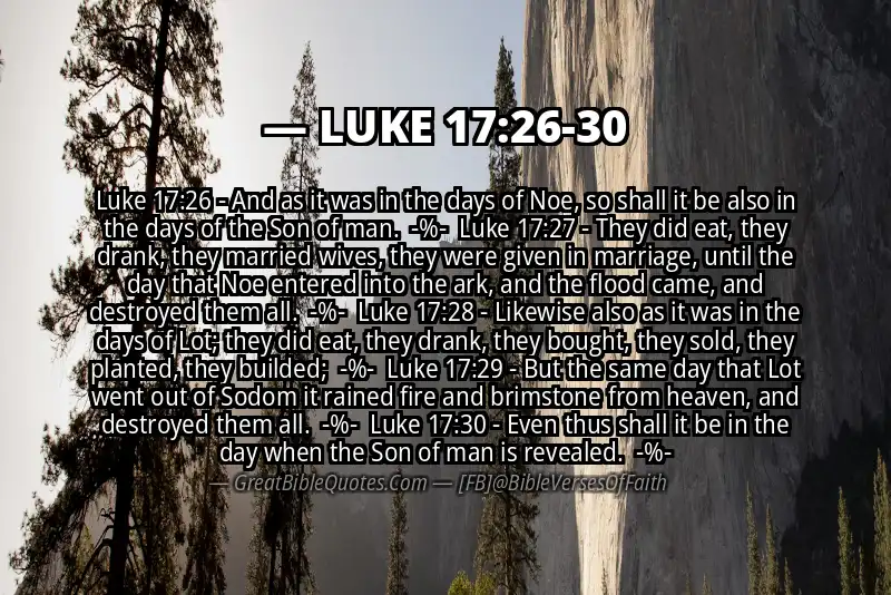 Image for LUKE 17:26-30 Bible verse