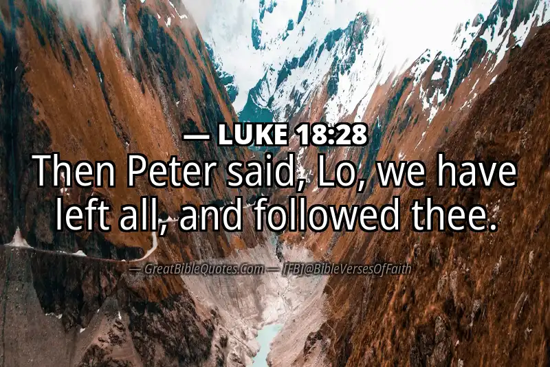 LUKE 18:28 Verse