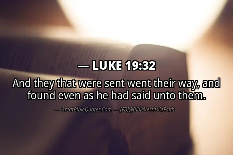 LUKE 19:32 Verse Image